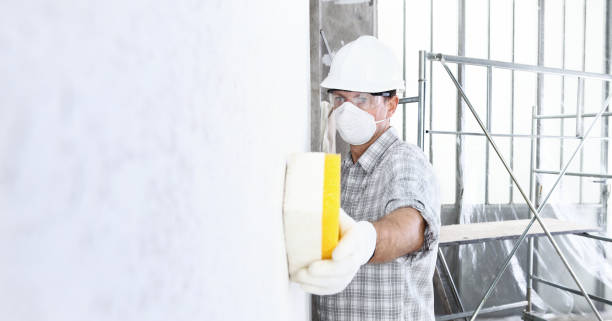 Why You Should Choose Our Mold Remediation Services in Pioneer, CA