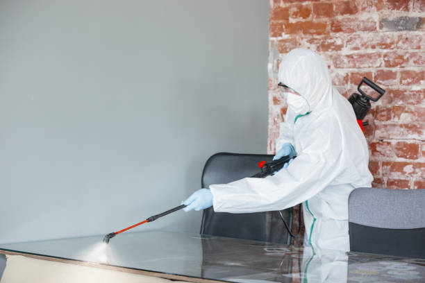 Best Mold Prevention Services  in Pioneer, CA